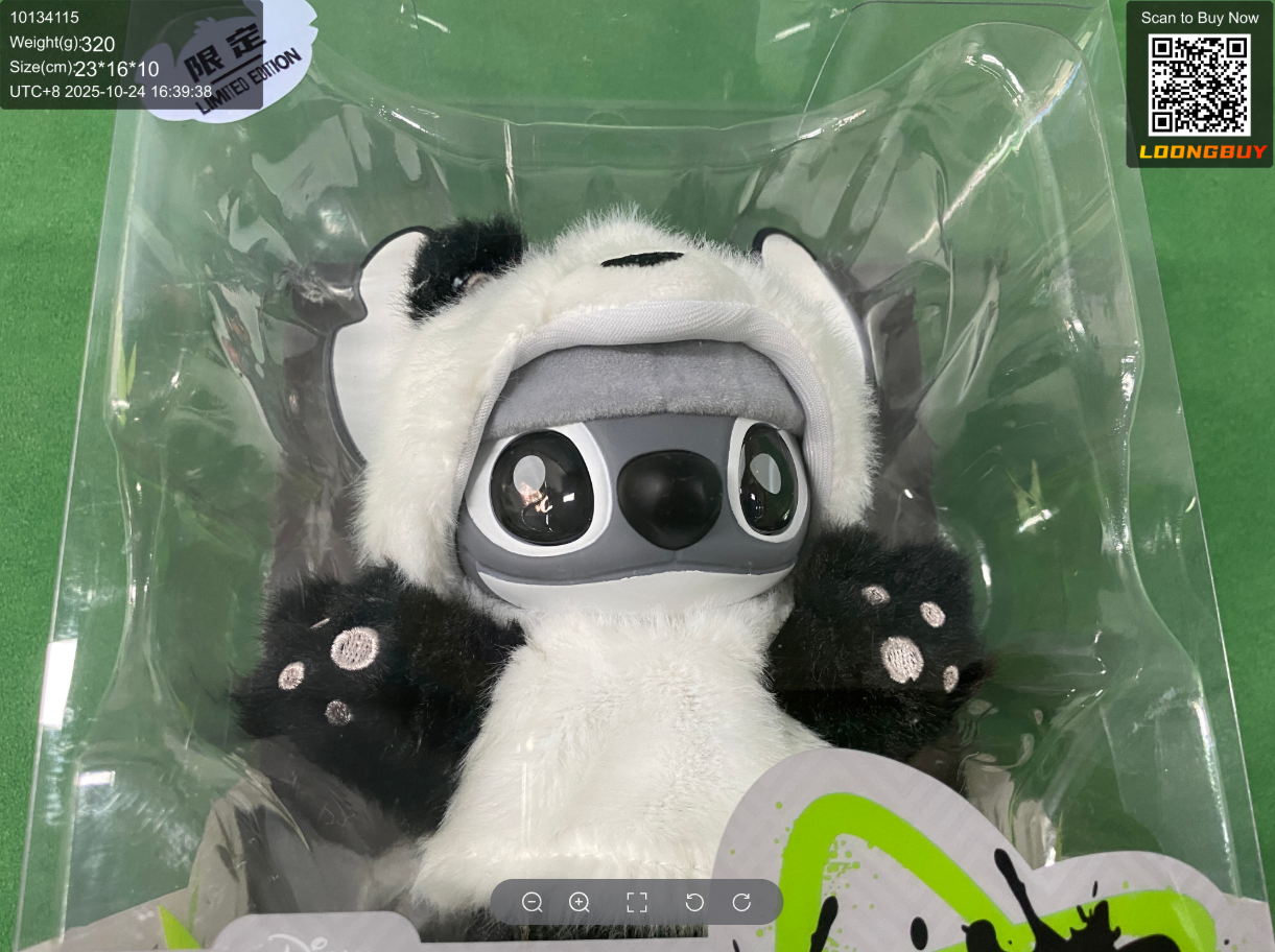 Official LoongBuy QC photo showing the front of a boxed toy through clear packaging on a green warehouse mat