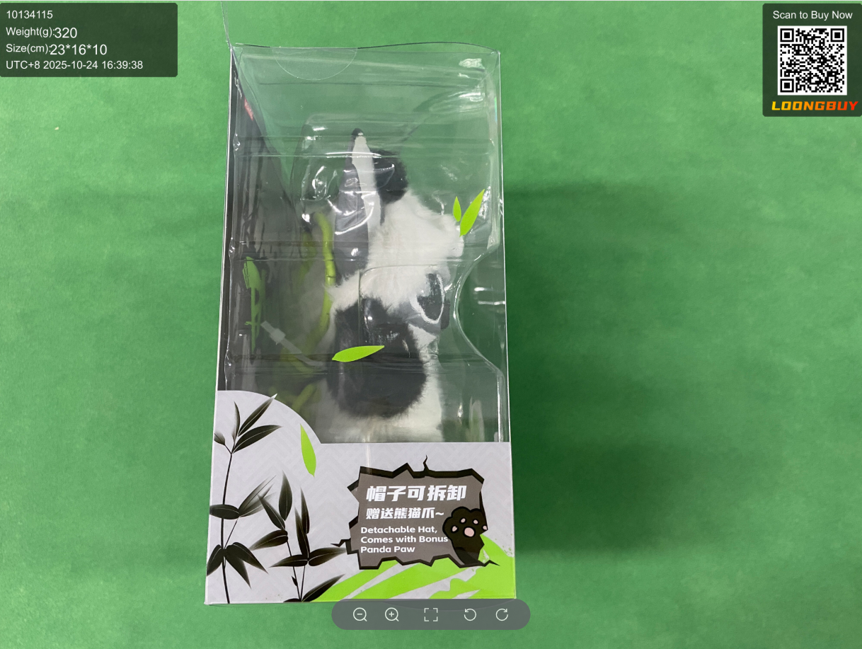 Official LoongBuy QC photo of the side of a sealed toy package